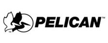 Pelican Harding